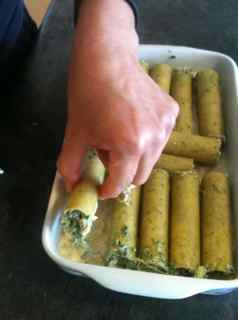 Easy Italian Recipes - Spinach Cannelloni arranged on a bed of white sauce